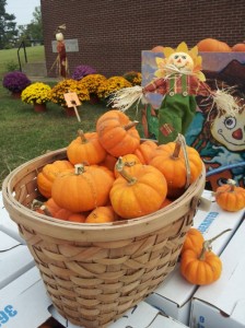 Little Pumpkins in a basket