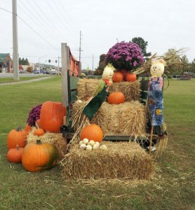 pumpkins, hay, and mums loaded in a wagon