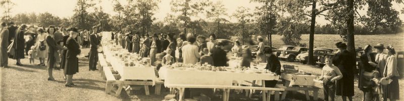 people gathered at picnic tables on a church lawn